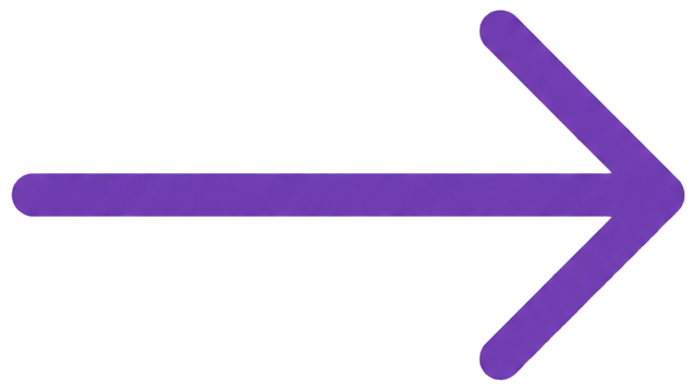 Seta