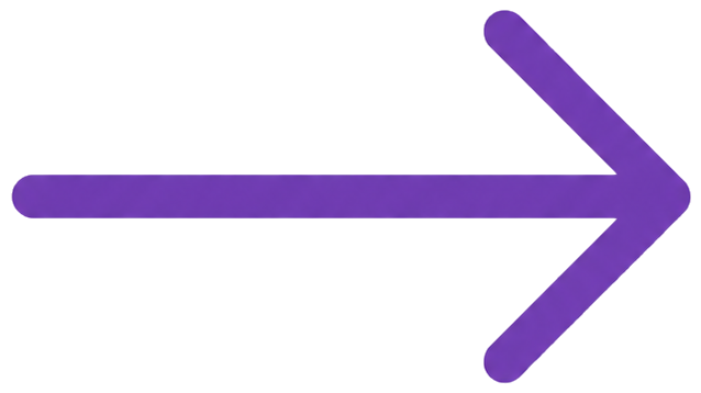 Seta